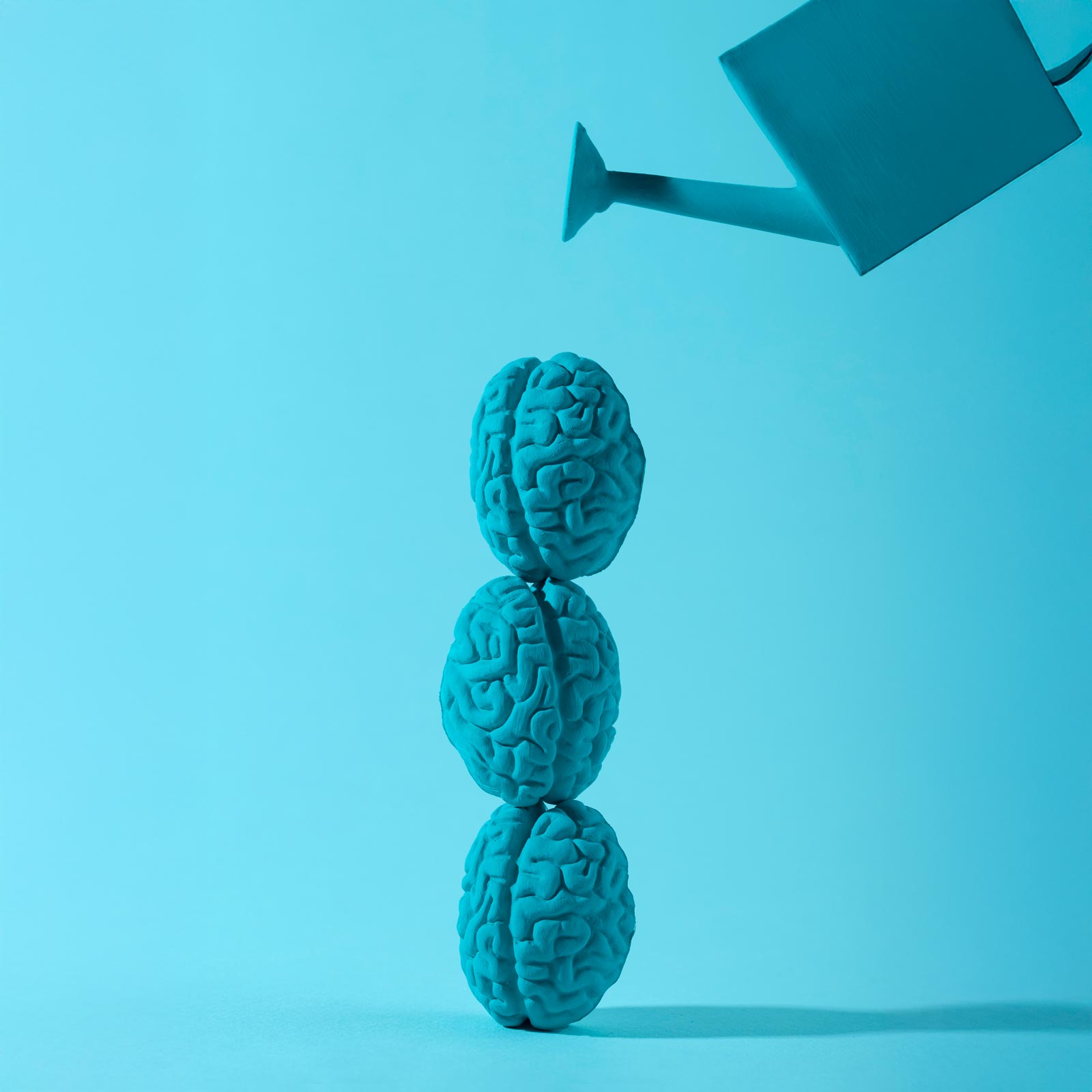 Corsi e Giornate di Orientamento